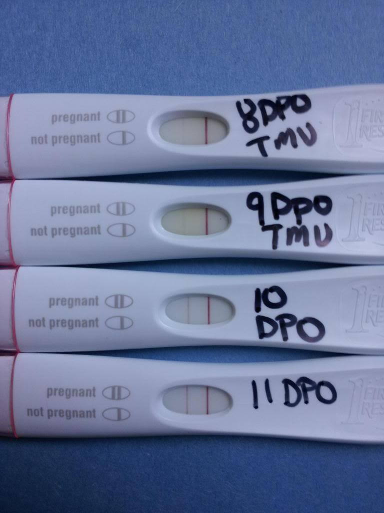 FRER Progression starting at 8dpo - JustMommies Message Boards