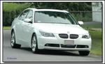 Stock Chrome Rims