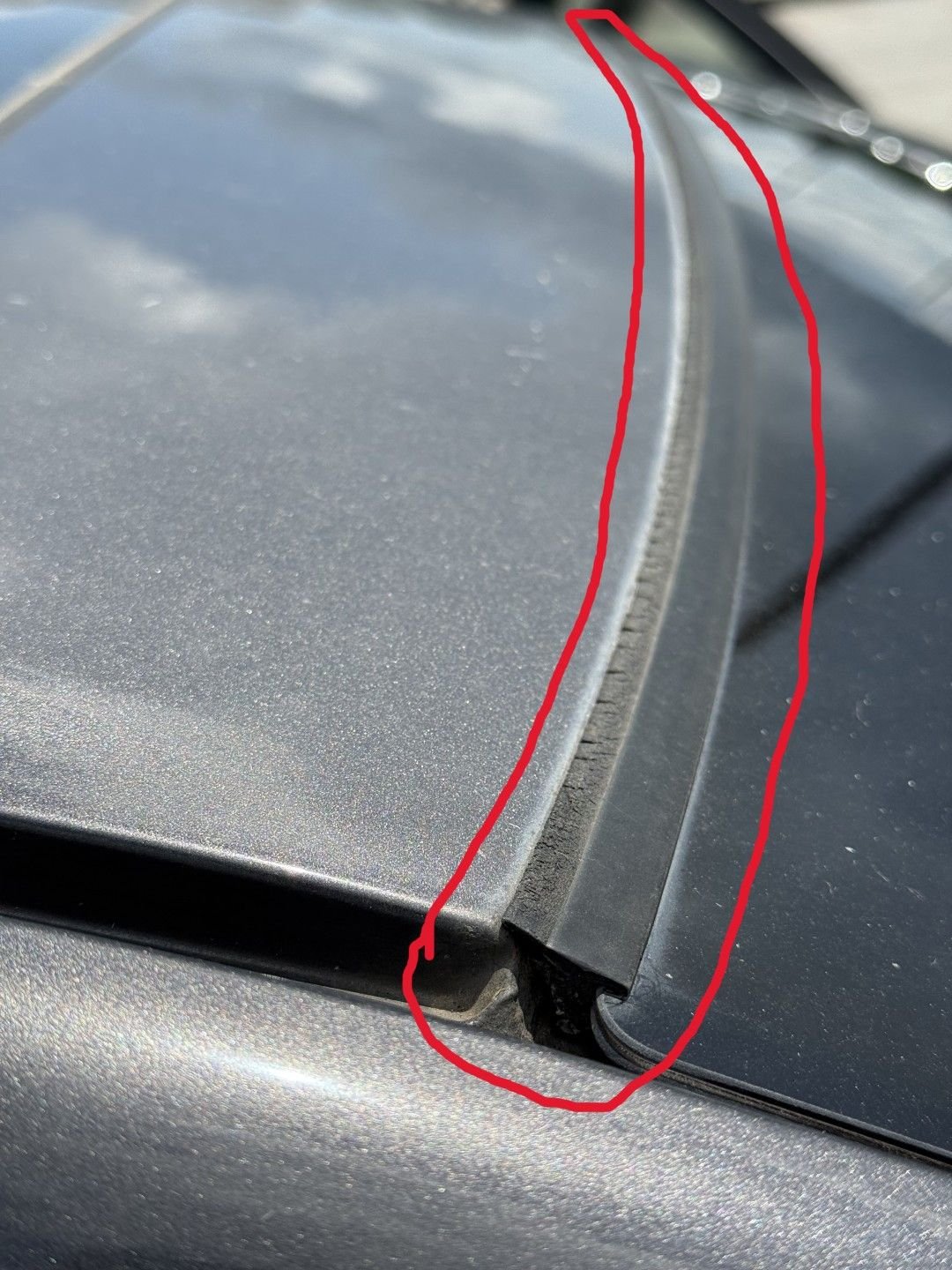 Taken from the passenger side. Drip molding is removed.
