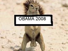 Squirrel's With Big Balls Supports Obama!