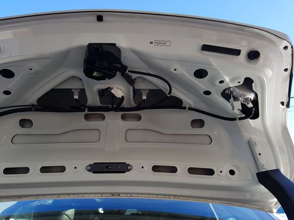 Inner Trunk without the cover.