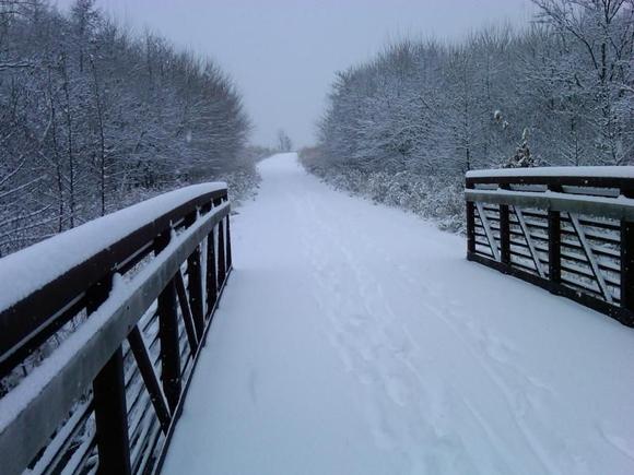 Snow path