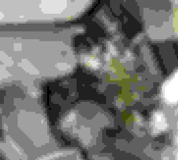 Oil pan gasket leak passenger side of engine front? - AcuraZine - Acura