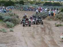 rattlesnake100