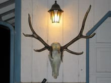 Elk-O-Lantern