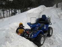plowing in the back yard 2