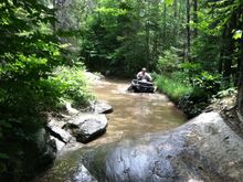 moose at the helm in a mud hole