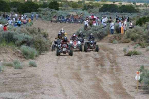 rattlesnake100