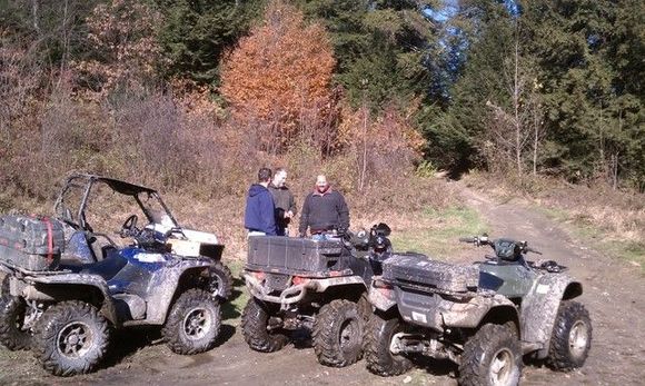 Trails were in great shape after we cleared the trees.