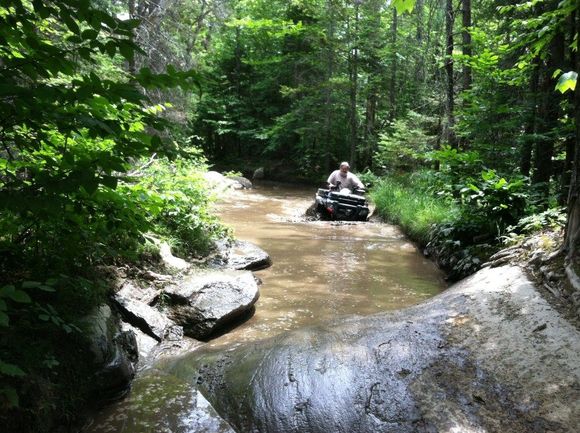 moose at the helm in a mud hole