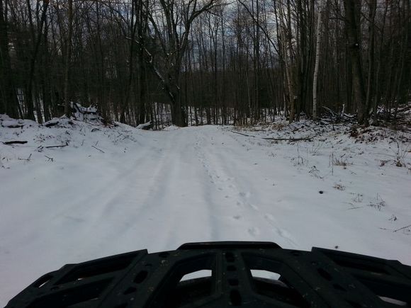 Fresh Tracks