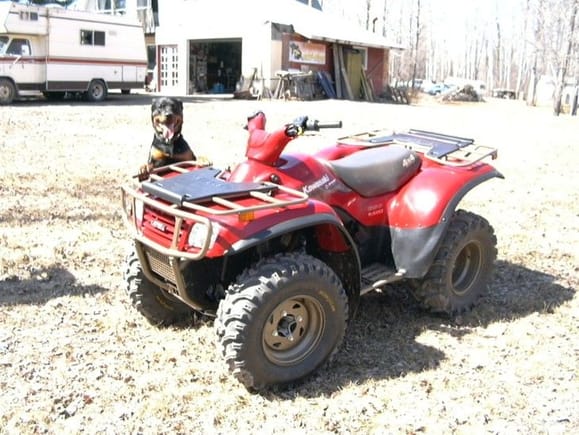 Another shot of my puppy and quad.