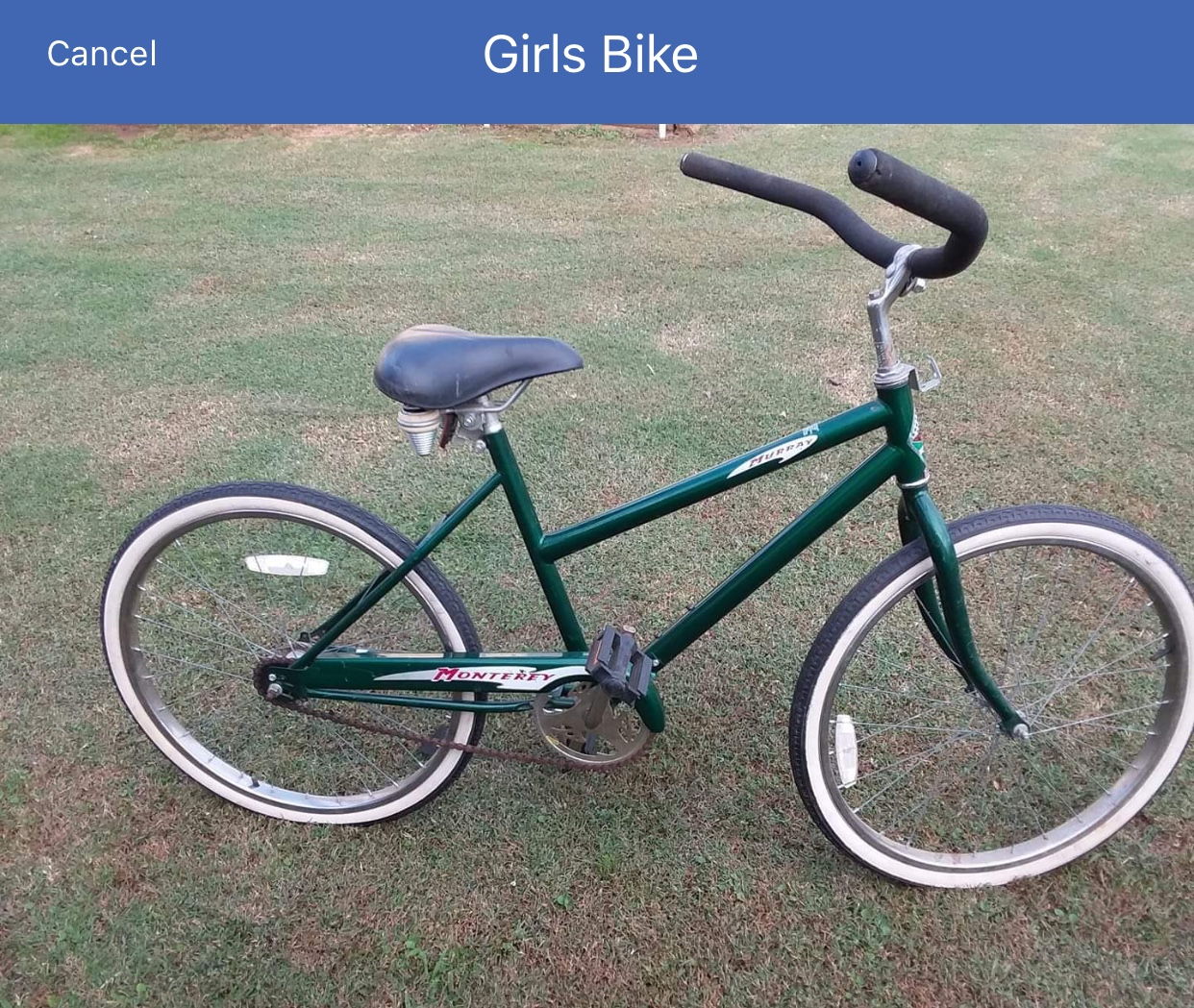 murray women's bike