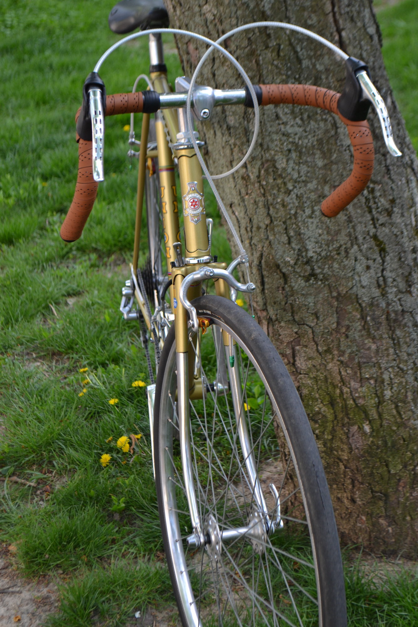 union dutch bike