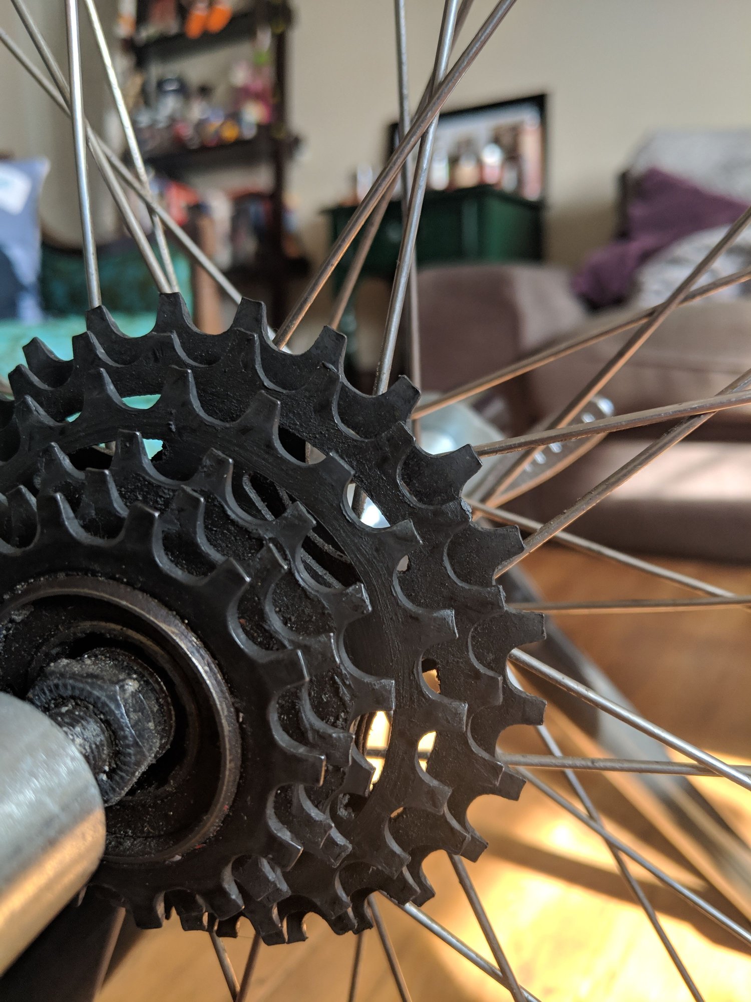 Freewheel options Bike Forums