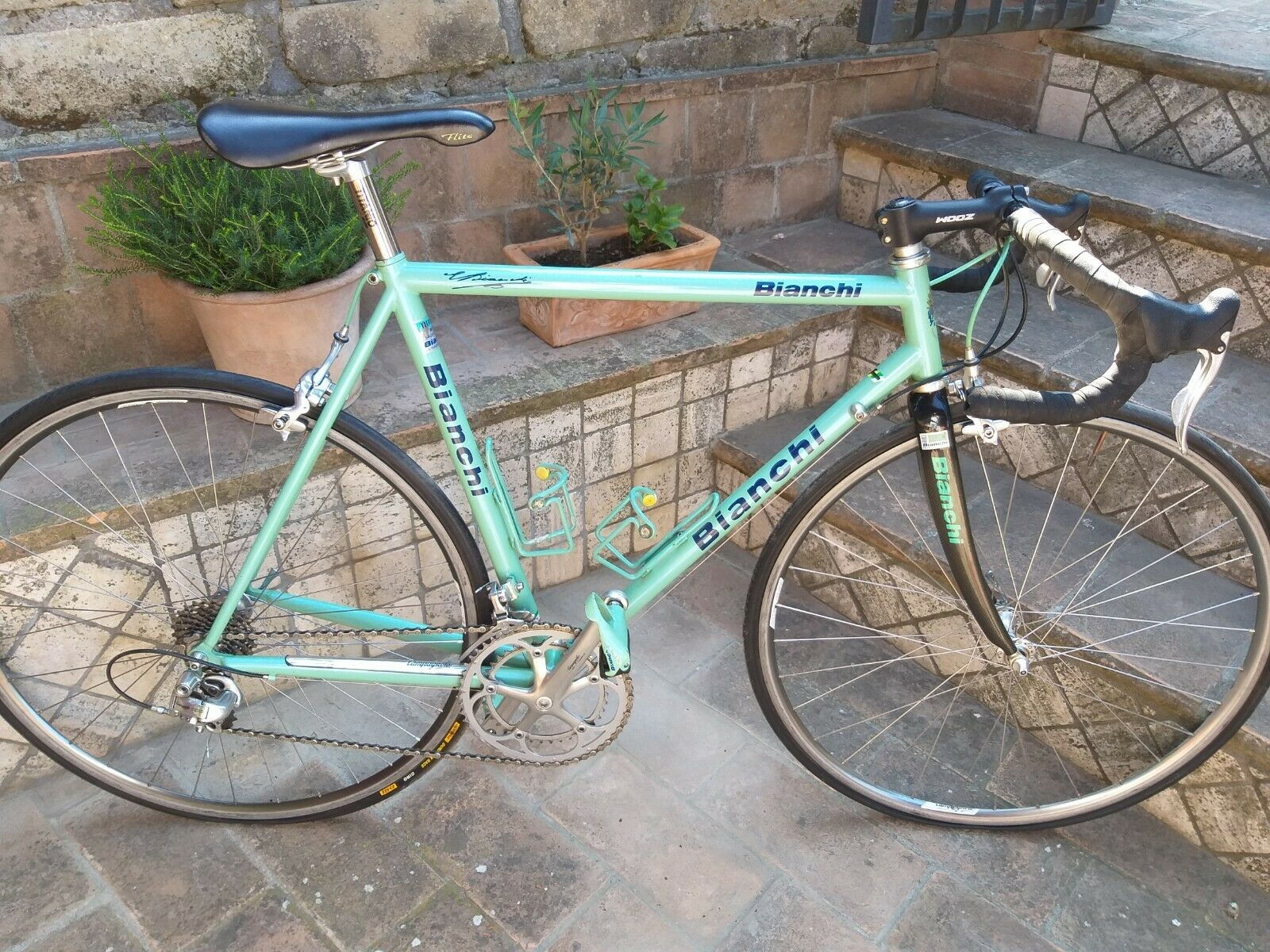 bianchi titanium road bike