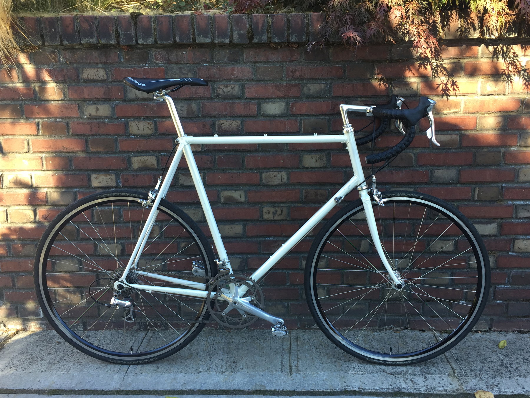 1988 specialized allez