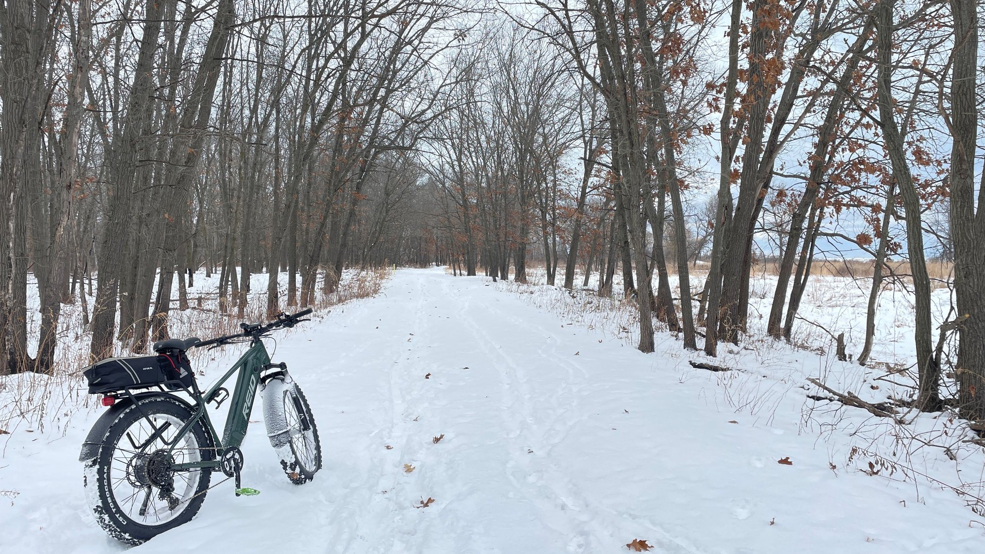 A trail through the woods.
