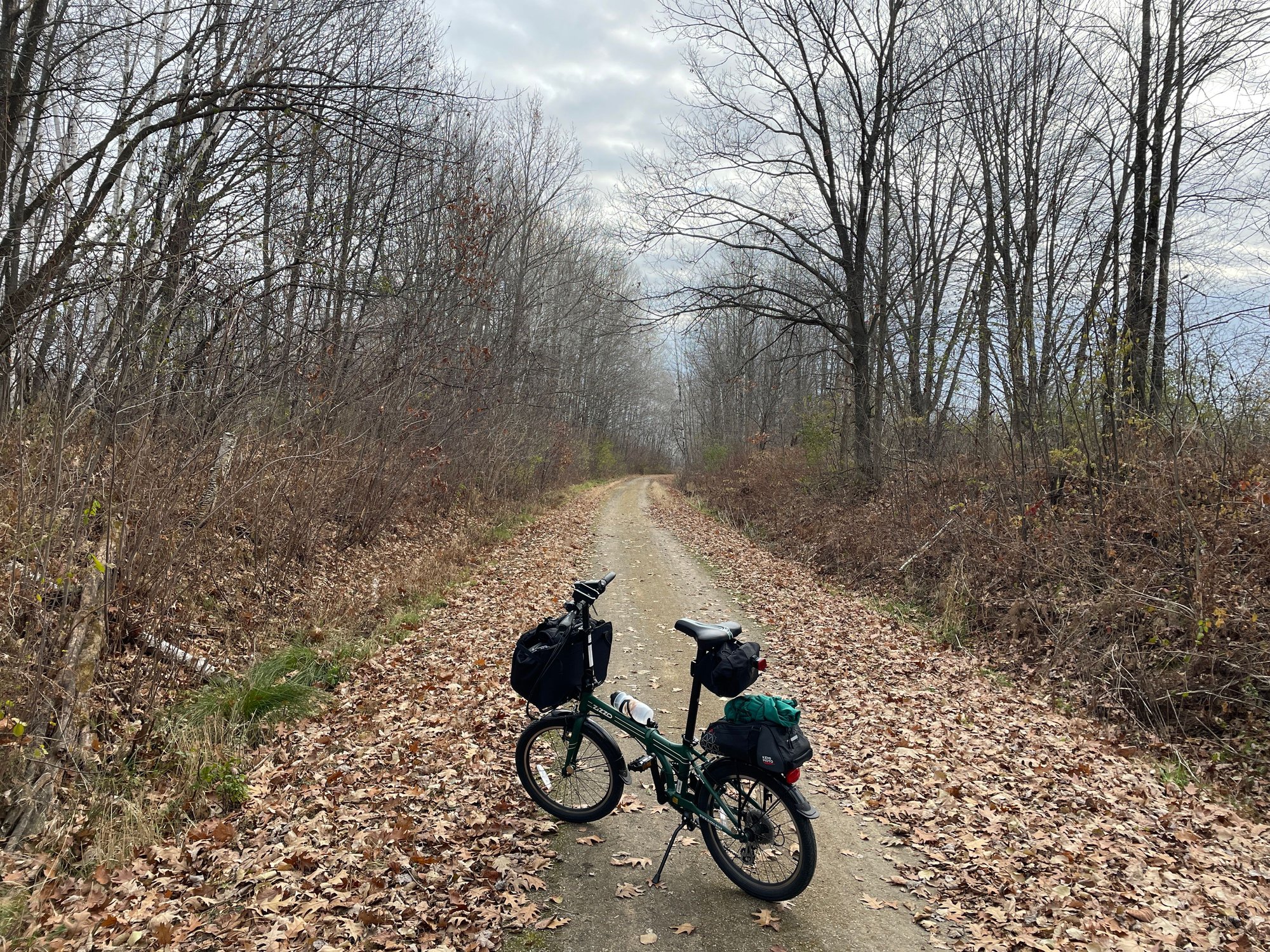 Most of the trail looked like this