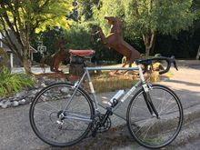 20yo ‘new’ lugged steelie.  