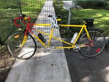 Two votes but one photo? More evidence polls can’t be trusted. This is the most banana bike I have. 
