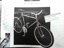 From 86' catalog a neighbor just dropped by.
