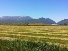 Hay making time