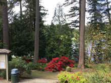 Passing Lake Wilderness