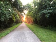 Sunrise over the trail.
