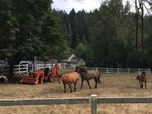 So are the horses.