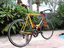 1987 Raleigh USA 531c
