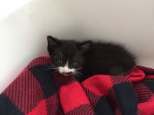 I had to live in the tub for a few days. 