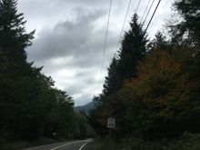 Bit of color in the smaller maple trees, shades of gray in the sky