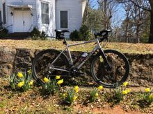 Spring!