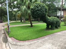 This house used to have more and a big Xmas light display.  