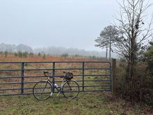 A very gray day …