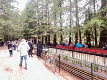 I made a stop at The steam trains in Tilden Park. 