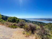Once in Bolinas, we found the street fair and some old hippies. Bolinas, where all the art is local and all the locals are artists. Okay, I made that up. I’m sure there a lot of wealthy tech folk, too.
