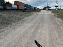 Gravel road along the railroad. 
