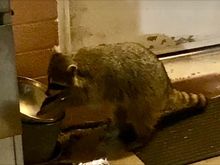"Hey, thanks for the noms."
