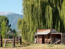 Old shed along my usual route