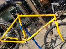 Yellow model paint