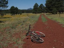 Returning from Sycamore Falls.  Bill Williams Mountain in the background
