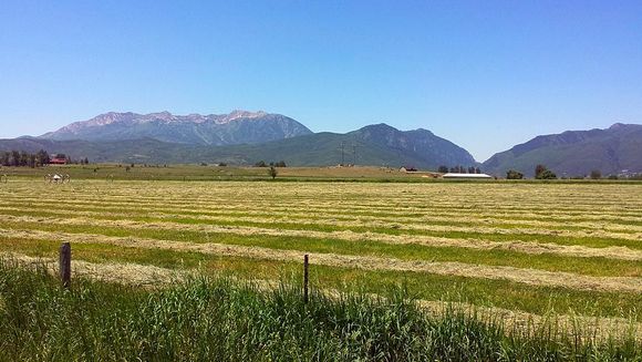 Hay making time