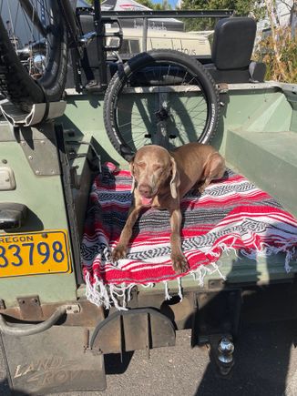Greta in the back of Framebuilder Oscar’s awesome land rover. (Simple bikes)