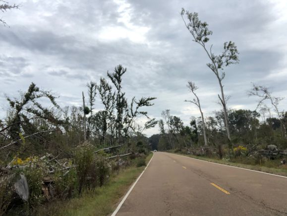 Tremendous damage from a previous hurricane, went on for miles north of Jackson 