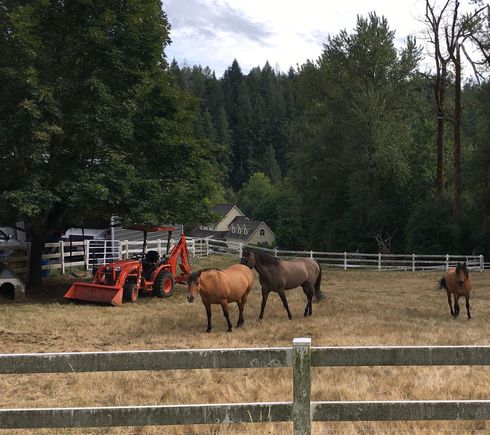 So are the horses.