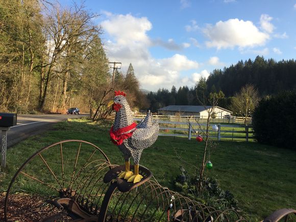 Cock-a-doodle-doo, 
the sky is blue, 
Happy Winter Days to You!