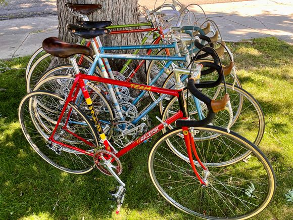 Family portrait of my Raleighs - '79 Team 753, '78 Pro, '74 Pro, '75 International, '74 Super Tourer