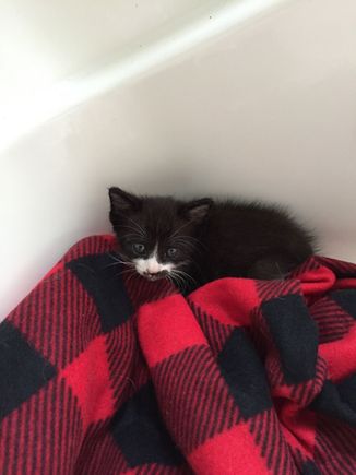 I had to live in the tub for a few days. 